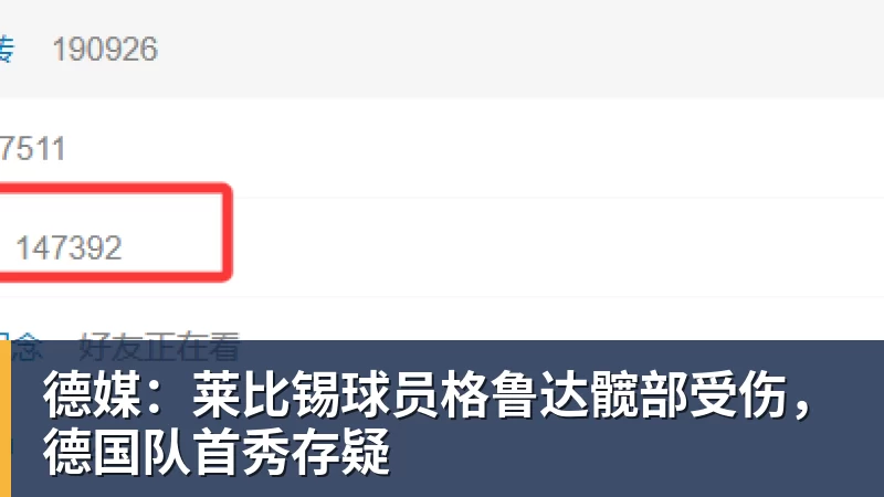 德媒：莱比锡球员格鲁达髋部受伤，德国队首秀存疑